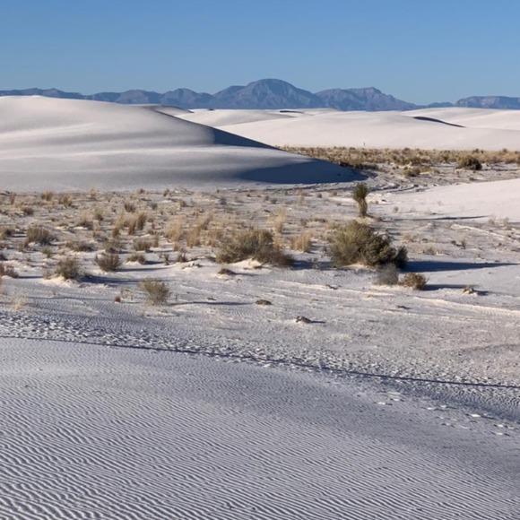 Meet your Posher, Snigdha - Picture 1 of 1